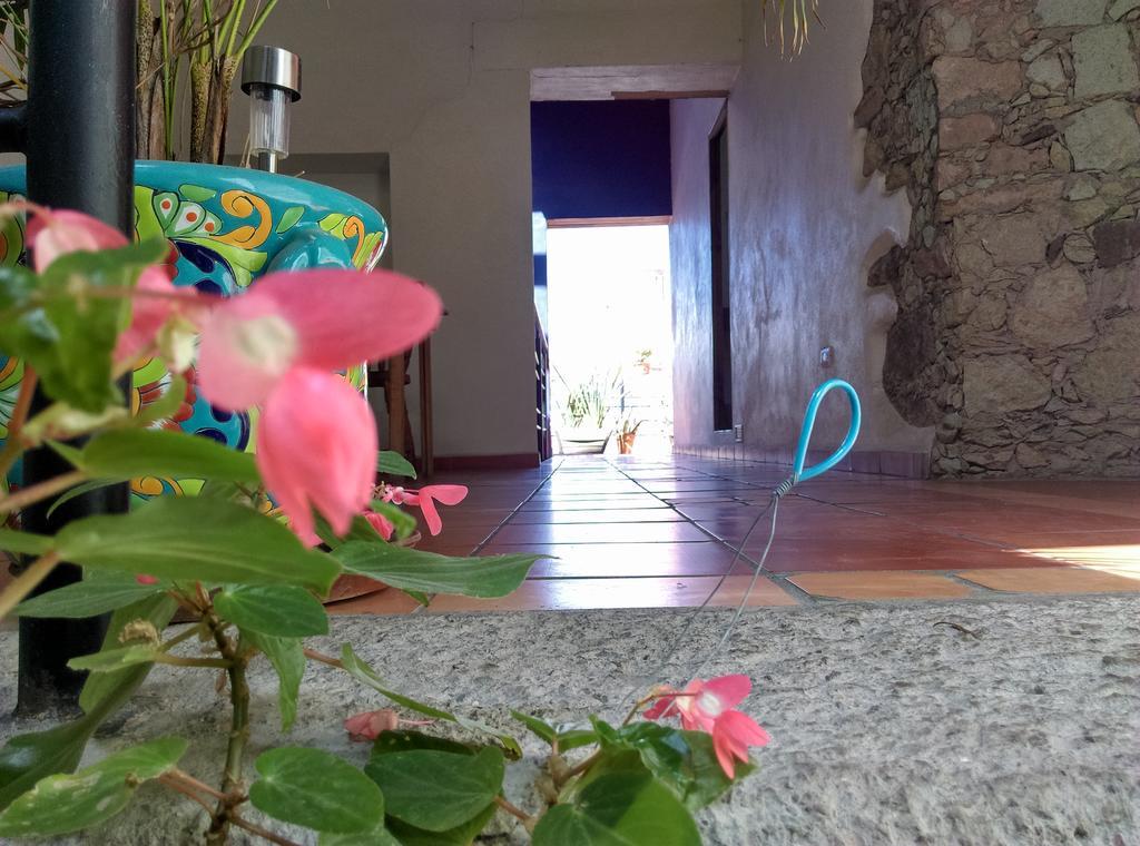 Bed and Breakfast La Fuente Гуанахуато Екстер'єр фото